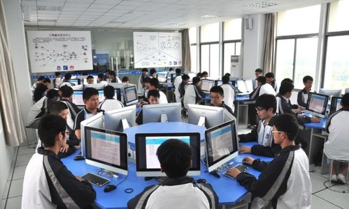 谁说专科生没出息，只是没选对专业而已，学这4个专业不愁没发展